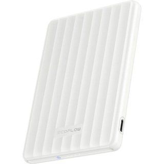 Зовнішній акумулятор (павербанк) EcoFlow RAPID Mag 5000mAh White (EF-RAPIDQI1-5K-W-EU) EF-RAPIDQI1-5K-W-EU фото