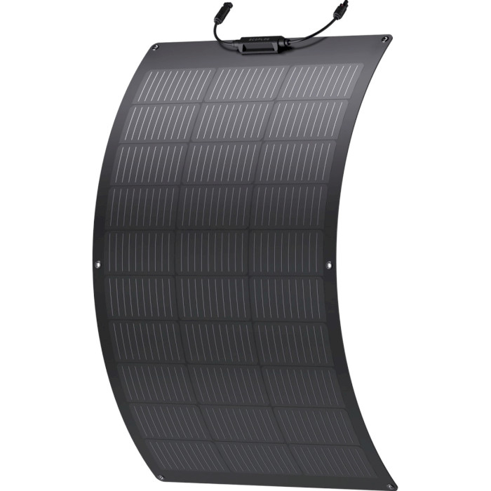 EcoFlow 100W Flexible Panel